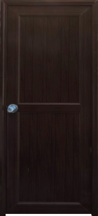 puerta pvc