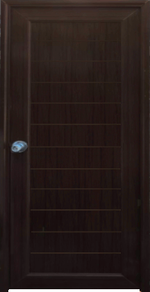 puerta pvc